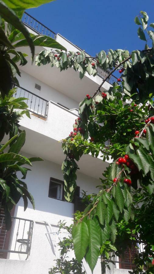 Apartments Lans 沃迪切 外观 照片